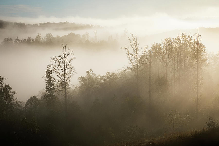 Appalachian Morning Photograph by Cris Ritchie