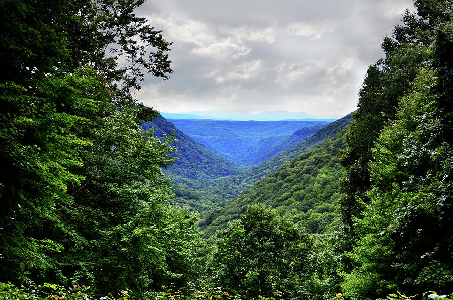Appalachian Mountains Photograph by Lisa Lambert-Shank