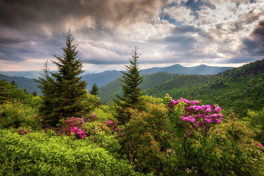 Mountain Photograph - Appalachian Mountains Scenic Landscape Photography Asheville North Carolina Spring Flowers by Dave Allen