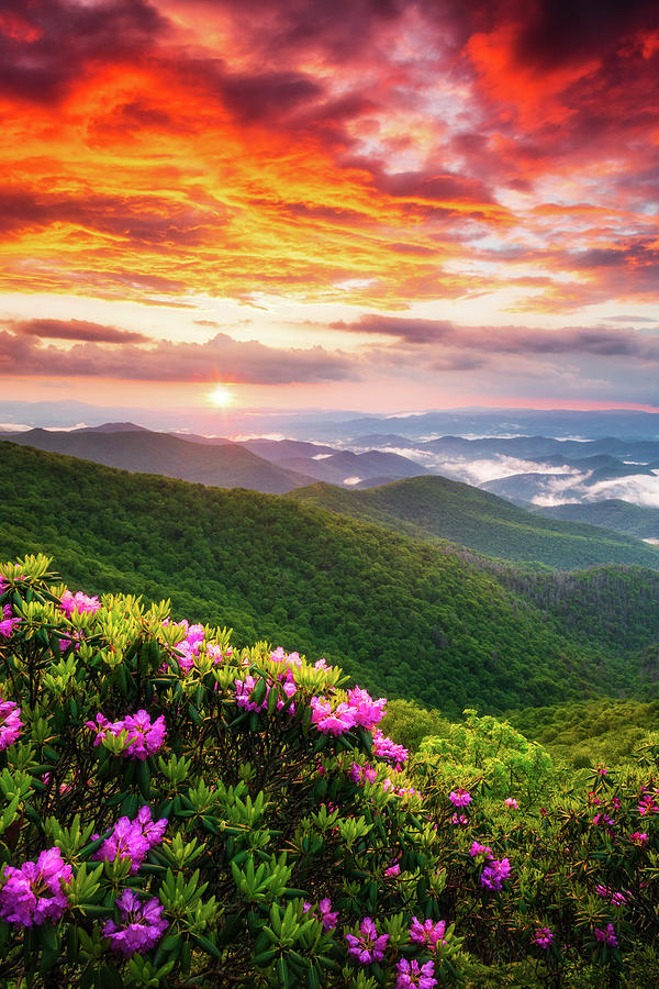 Appalachian Mountains Scenic Sunset Spring Flowers Vertical Landscape Photography Photograph by Dave Allen