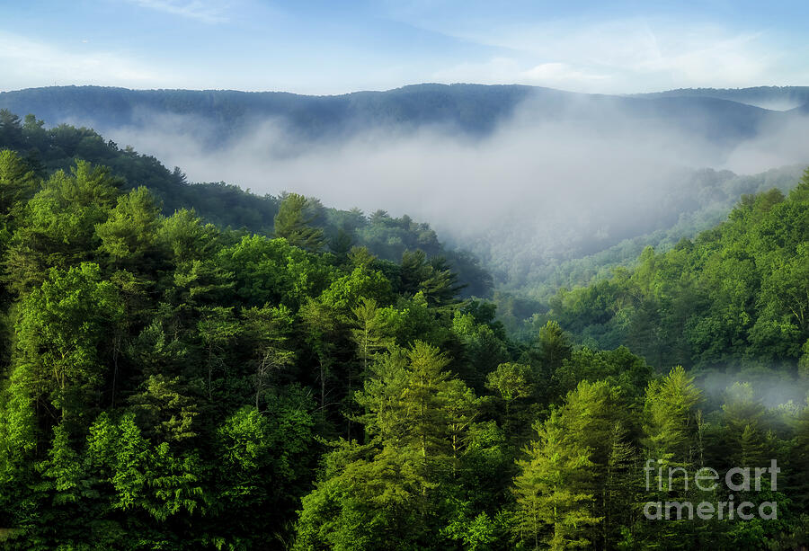 The Appalachian Mountains Photograph by Shelia Hunt