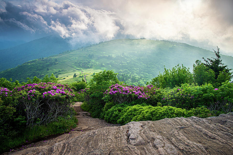 Appalachian Mountains Tennessee North Carolina Roan Mountain Spring 