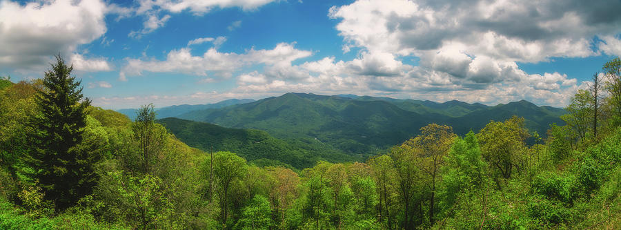 Appalachian Summer Photograph by Robert J Wagner