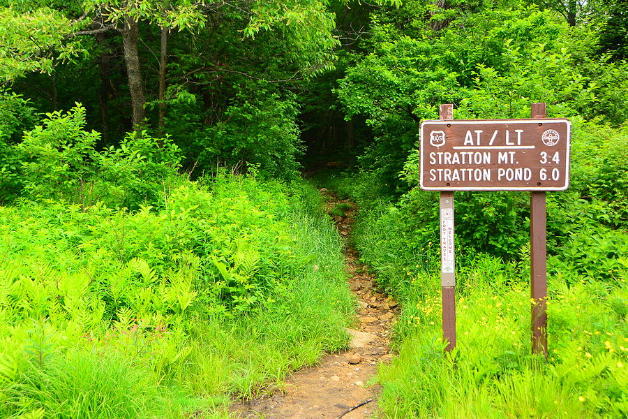 Appalachian Trail and Long Trail Sign to Stratton Photograph by Raymond Salani III
