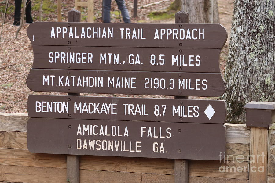 Appalachian Trail Approach Trail Photograph by Emily Guay - Fine Art ...