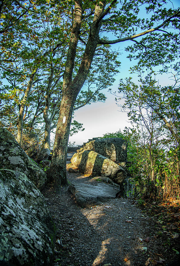 Appalachian Trail at Thunder Ridge Overlook Photograph by Gordon Ripley