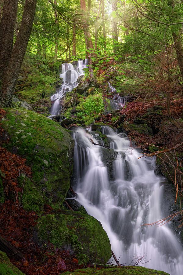 Waterfall Photograph - Appalachian Trail Cascade by Bill Wakeley