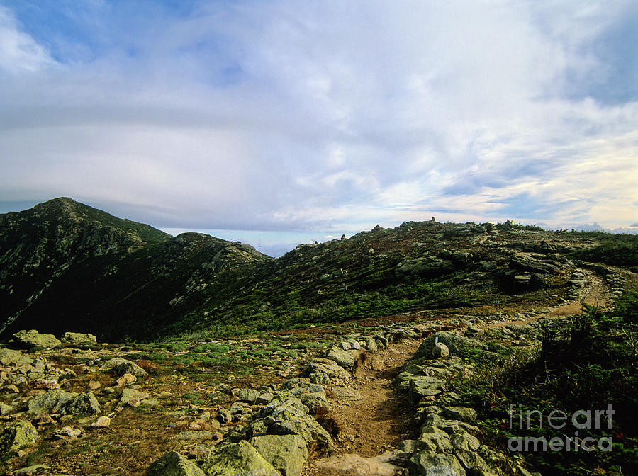 Appalachian Trail - Mount Lincoln - White Mountains New Hampshire USA Photograph by Erin Paul Donovan