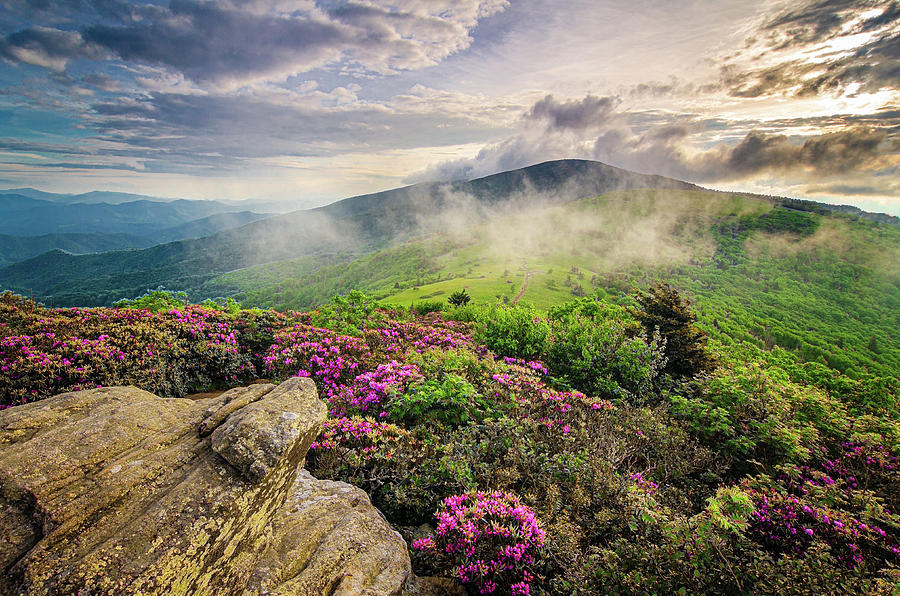 Appalachian Trail NC TN Roan Mountain Majesty Photograph by Robert Stephens