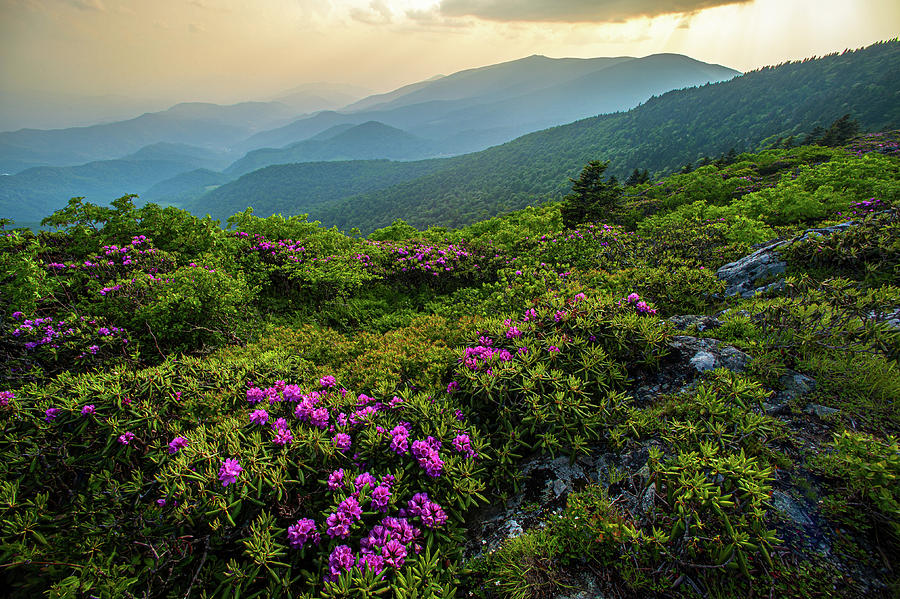 Appalachian Trail NC TN Roan Mountain Rhododendron Sunset Scenic ...