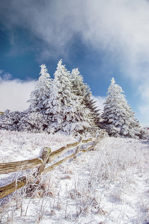 Appalachian Trail North Carolina Winter Scenic View Photograph by Robert Stephens