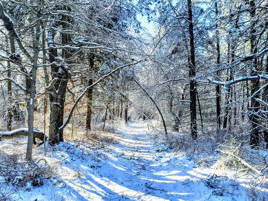 Winter Photograph - Appalachian Trail  by Paul Kercher