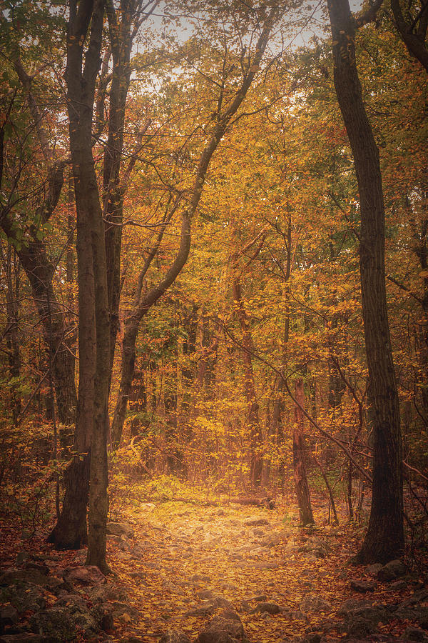 Appalachian Trail Stony Path in the Fall Photograph by Jason Fink