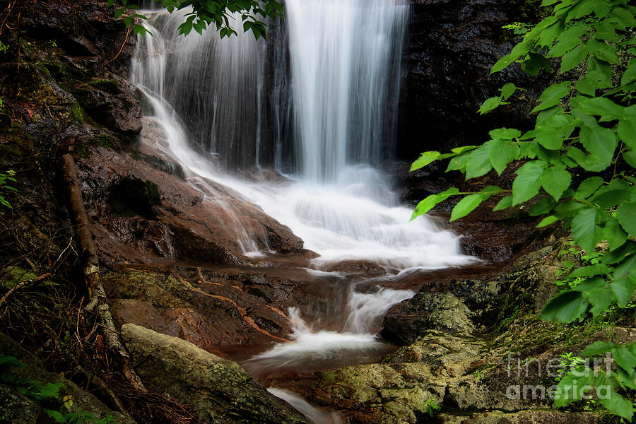 Appalachian Waterfall Serenade Photograph by Shelia Hunt - Fine Art America