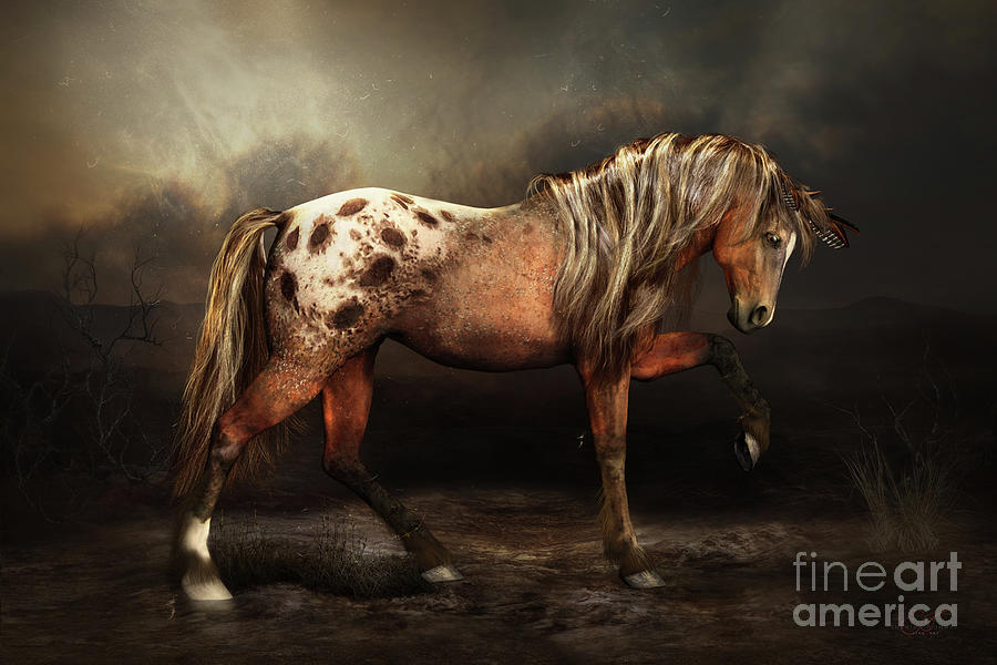 Appaloosa Bay Horse Digital Art by Shanina Conway