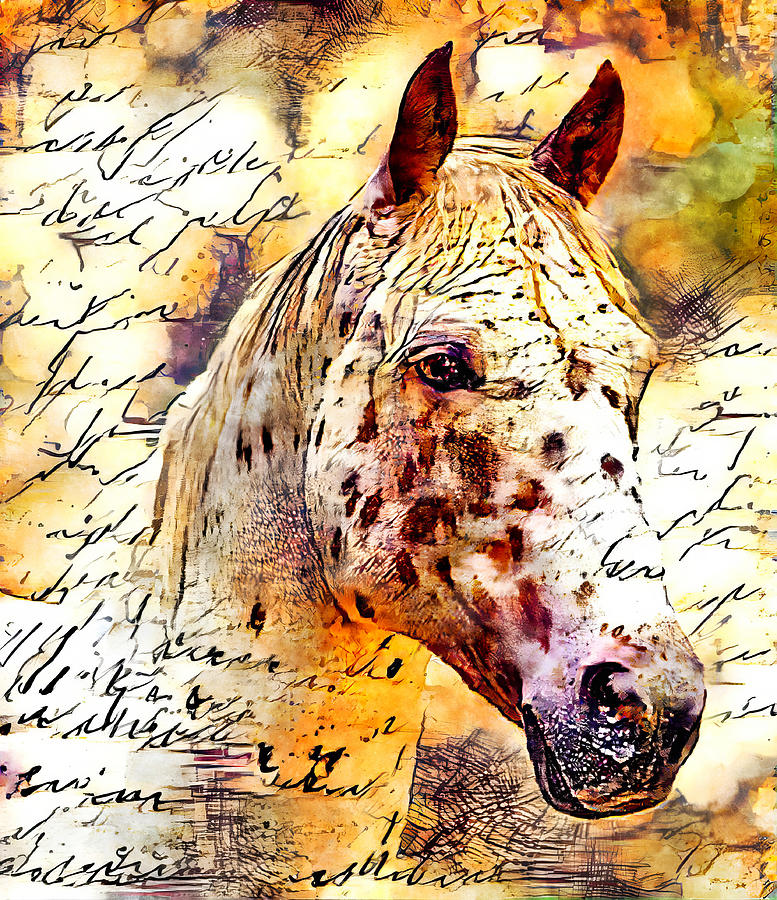 Appaloosa horse close up portrait with vintage handwriting Digital Art by Nicko Prints