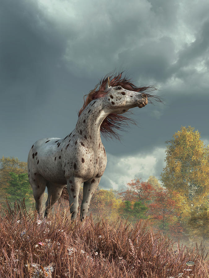 Appaloosa Horse in Autumn Digital Art by Daniel Eskridge