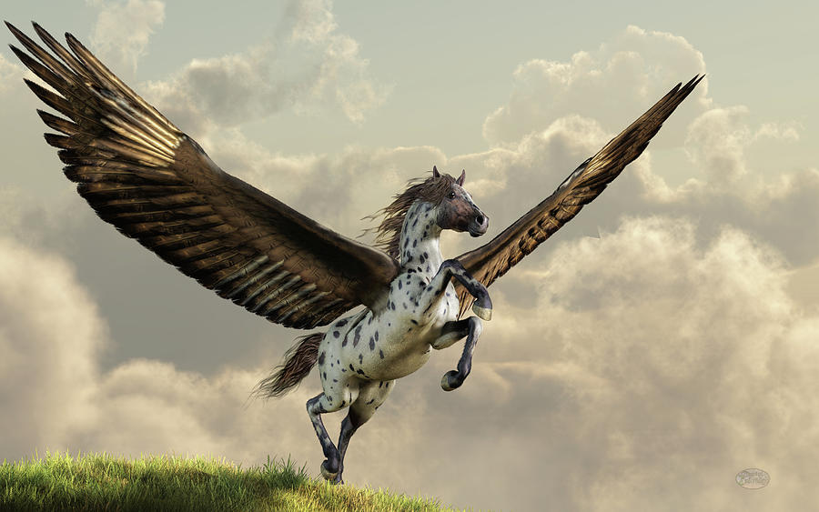 Appaloosa Pegasus Digital Art by Daniel Eskridge