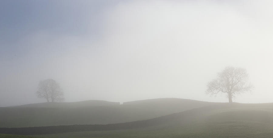 Appearing from the Mist Photograph by David Handson Appearing from the Mist Photograph by David Handson