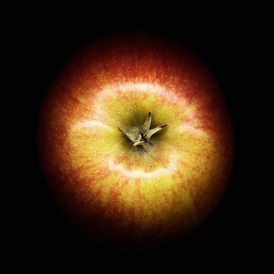 Apple against black background, close-up Photograph by Microzoa Limited