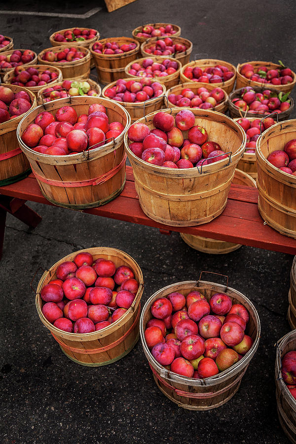 Apple Baskets Photograph by Craig J Satterlee