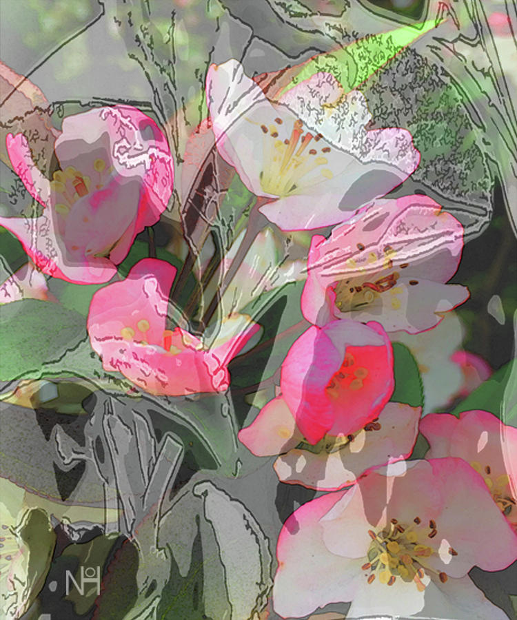 Apple Blooms at Easter Digital Art by Nancy Olivia Hoffmann