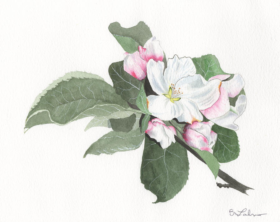 Apple Blossom Classic Painting by Bob Labno