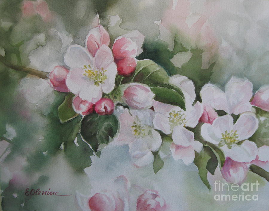 Apple blossom Painting by Elena Oleniuc