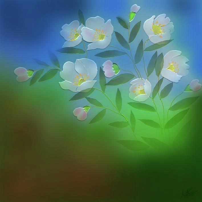 Apple Blossom Digital Art by Latha Gokuldas Panicker