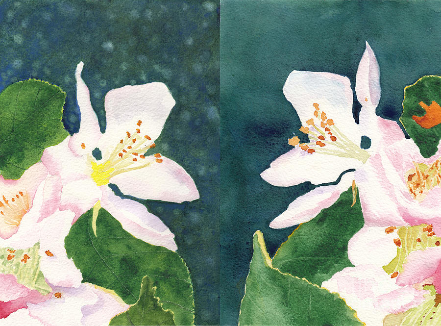 Apple Blossom Macro Studies Diptych Painting by Conni Schaftenaar
