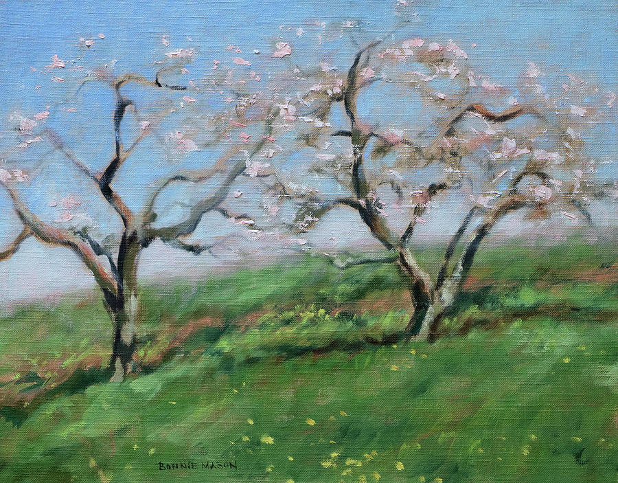 Spring Painting - Apple Blossom Special - Ikenberrys Orchard Plein Air by Bonnie Mason