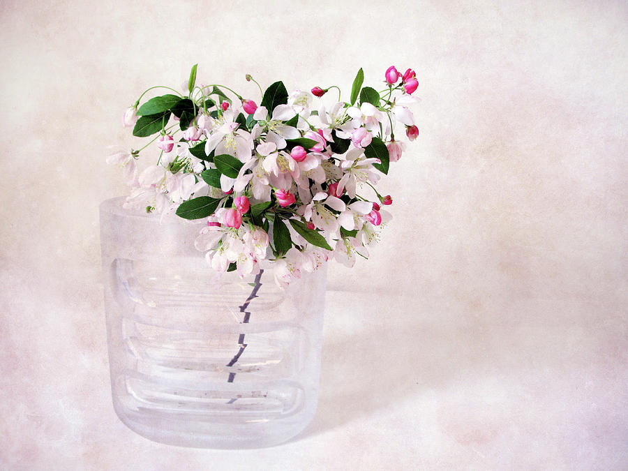 Apple Blossom Still Life Photograph by Jessica Jenney