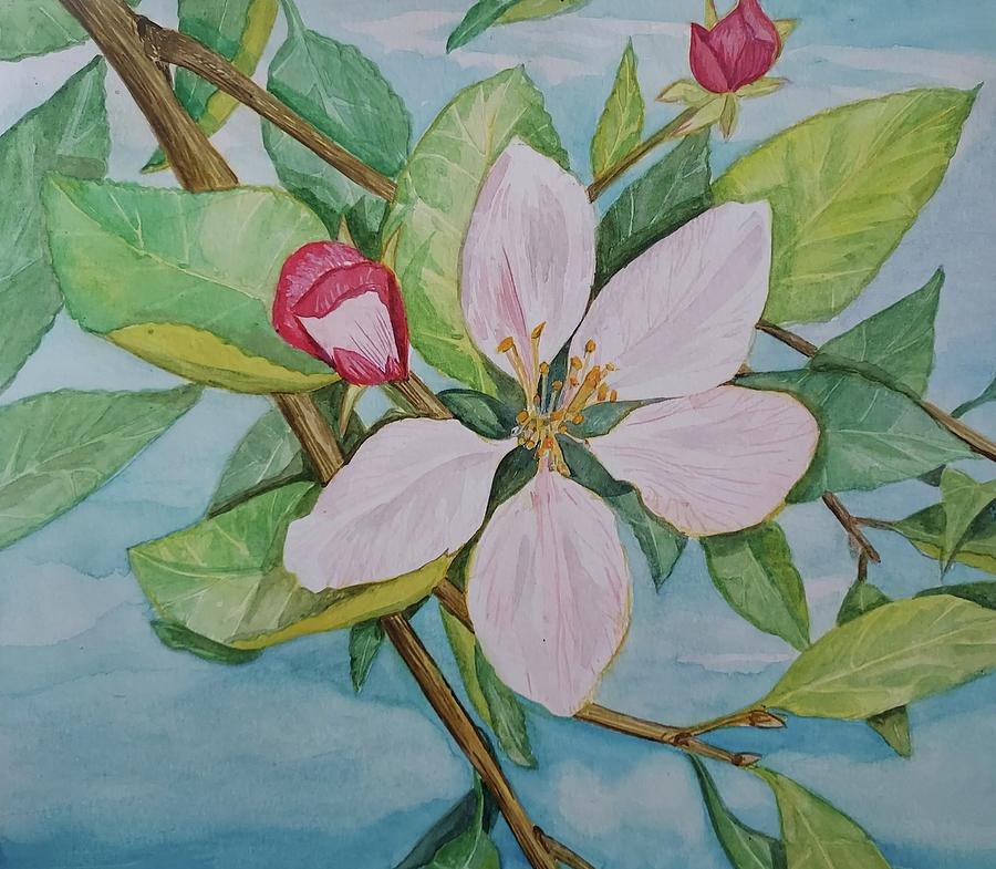 Apple Blossom Painting By Tara Meeuwsen Fine Art America