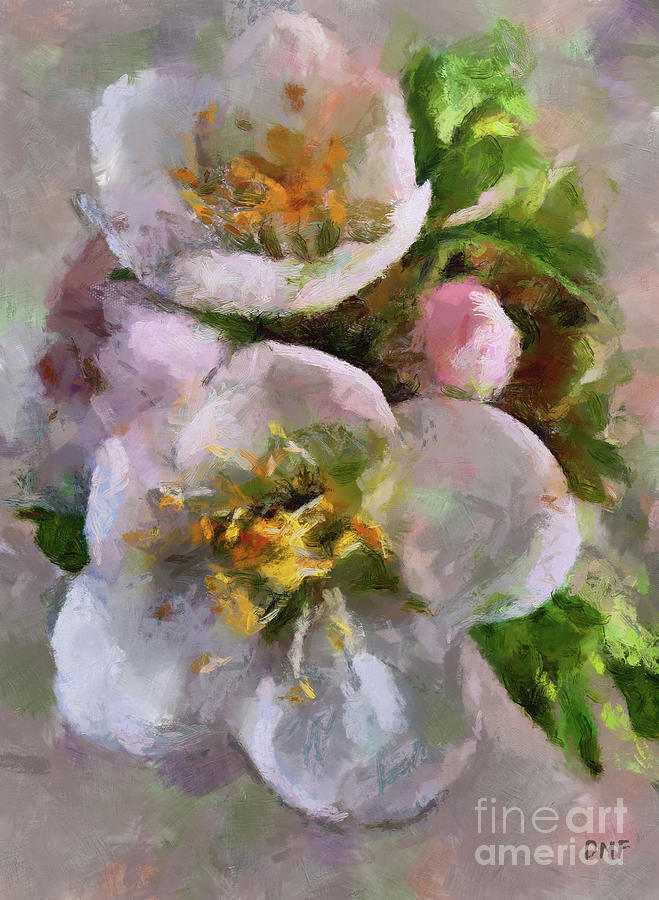 Spring Painting - Apple Blossoms by Dragica Micki Fortuna