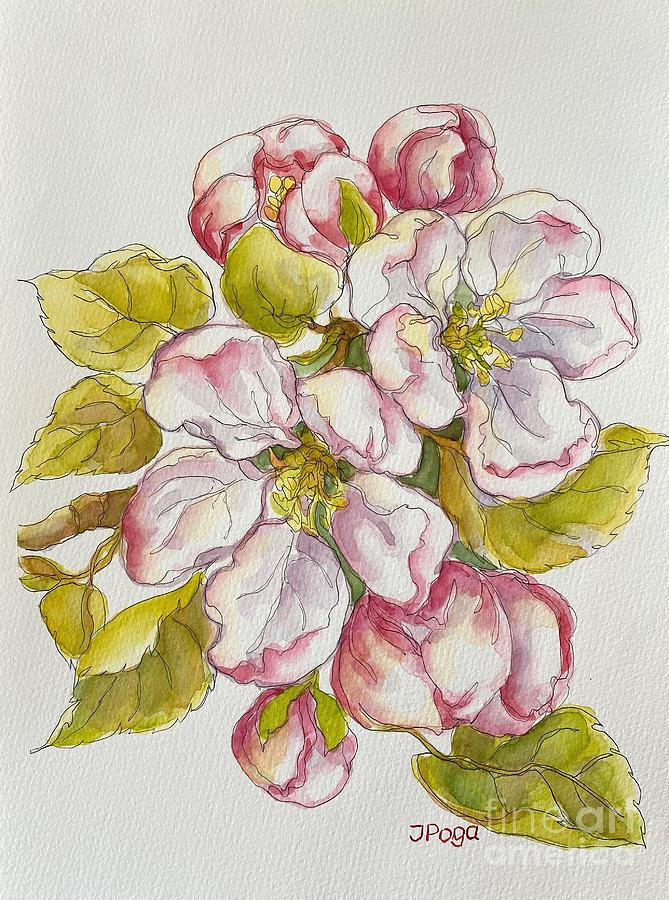 Apple blossoms Painting by Inese Poga