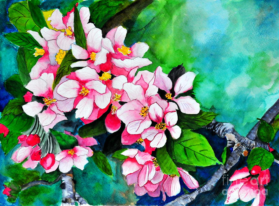 Apple Blossoms Painting by John W Walker