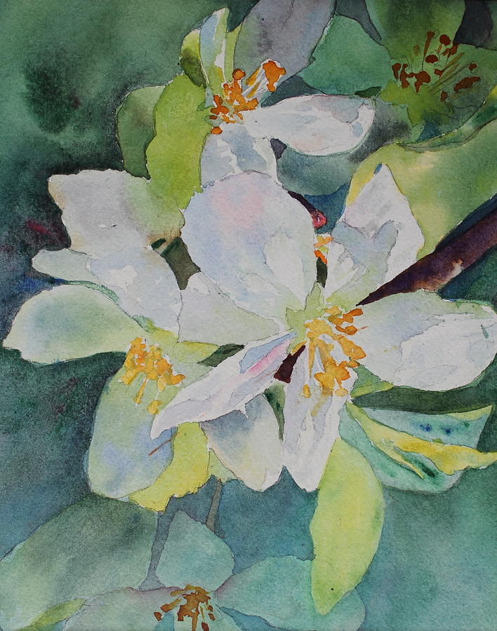 Apple Blossoms Painting by Ruth Kamenev