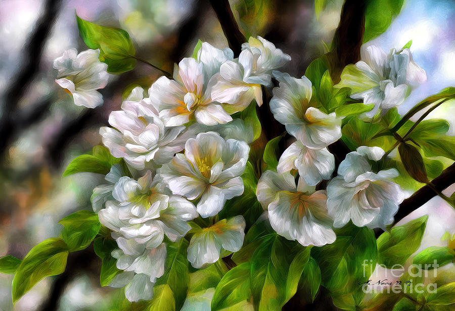 Apple Blossoms Digital Art by Shari Nees