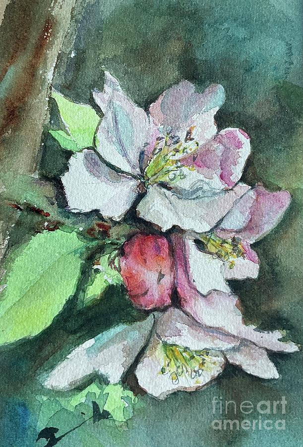 Apple Blossoms  Painting by Sonia Mocnik