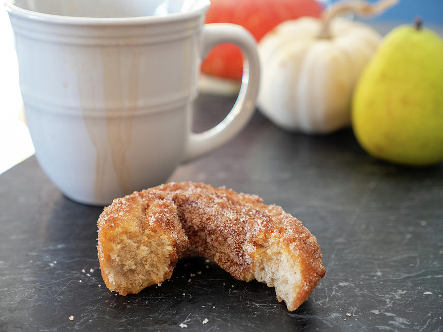 Apple Cider Doughnuts Photograph by Kyle Lee