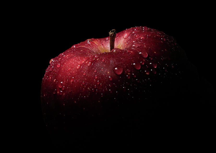 Apple Eclipse Photograph by Mark Chandler - Fine Art America