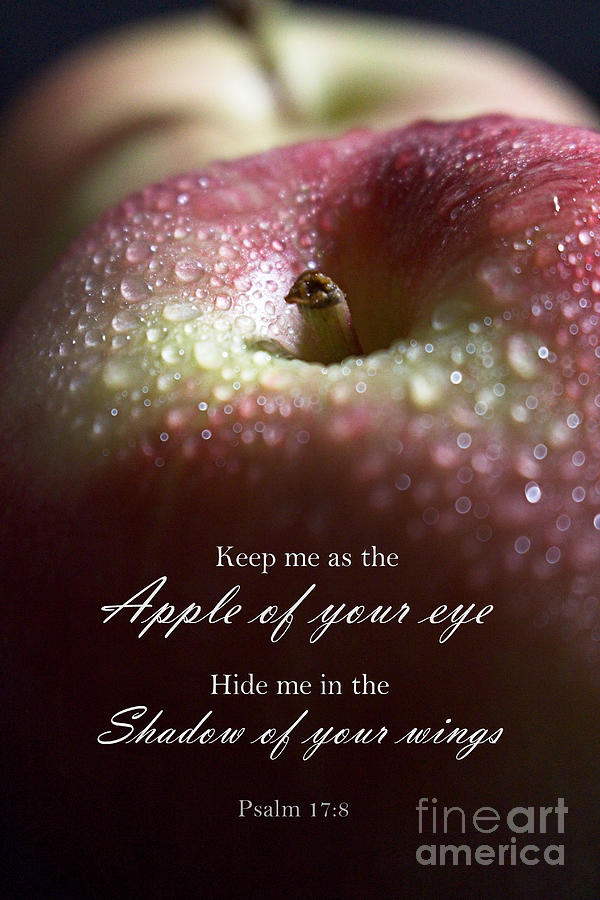 Apple of your eye, Psalm 17-8 Photograph by Ella Kaye Dickey