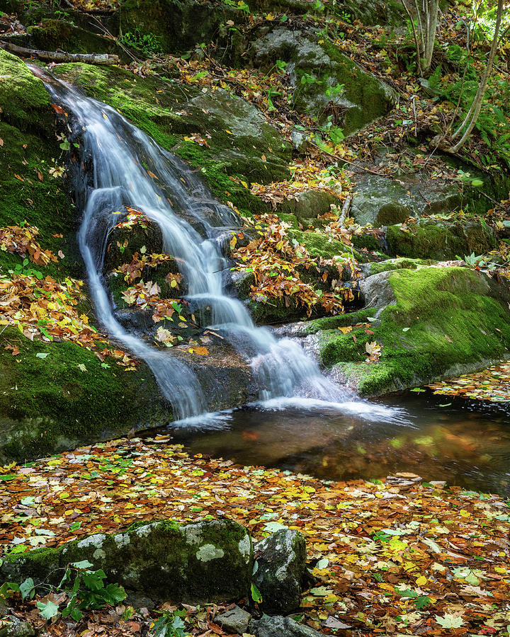 Apple Orchard Falls with touch of Autumn  Photograph by Alex Mironyuk