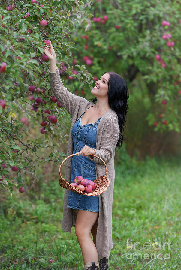 Apple picking season Photograph by Nina Stavlund