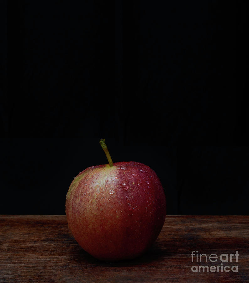 Apple Photograph By Shannon Moseley Fine Art America