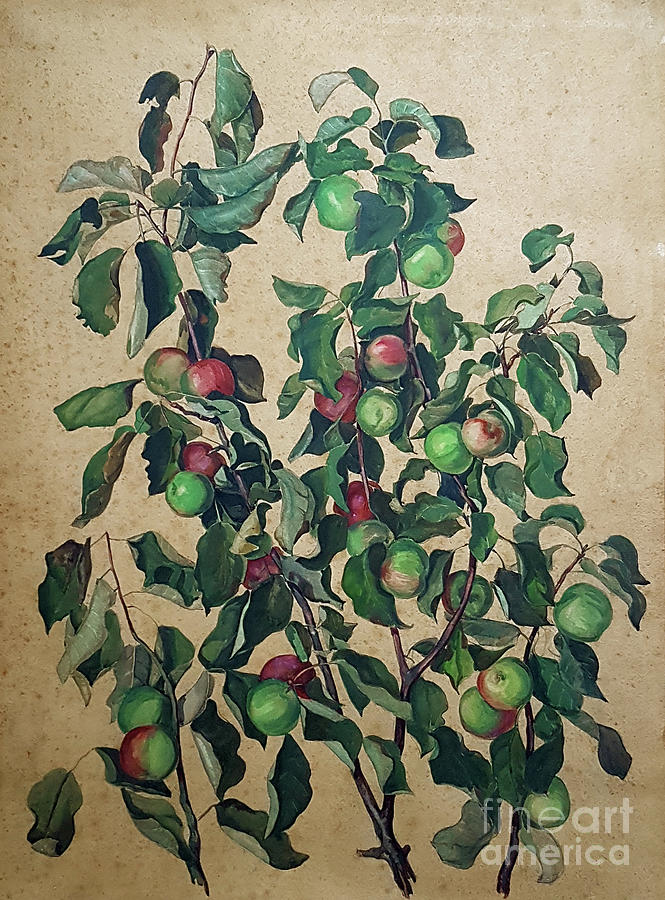 Cider Apple Tree Branches Painting
