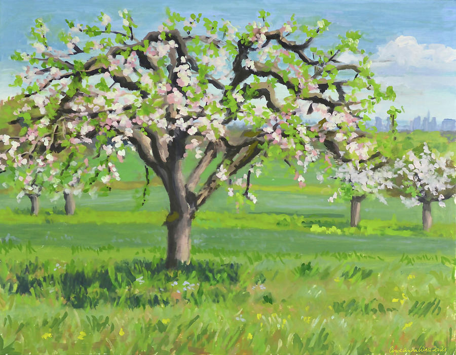 Apple Tree Blossoming Painting by Constanza Weiss