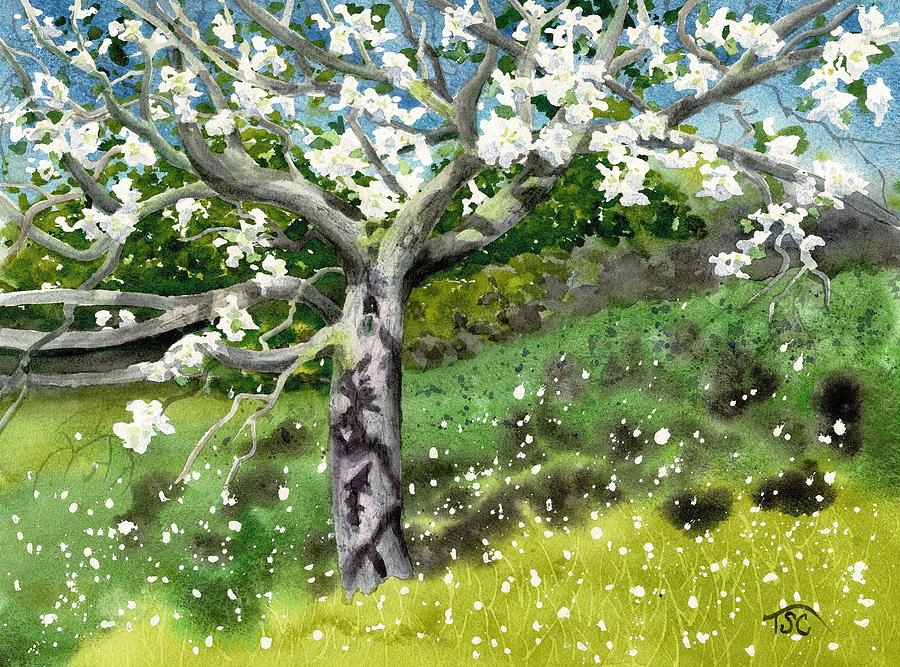 Apple Tree Blossoms Painting by Tammy Crawford