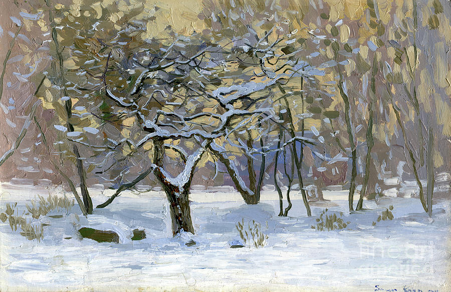 Winter Painting - Apple tree in the snow by Simon Kozhin