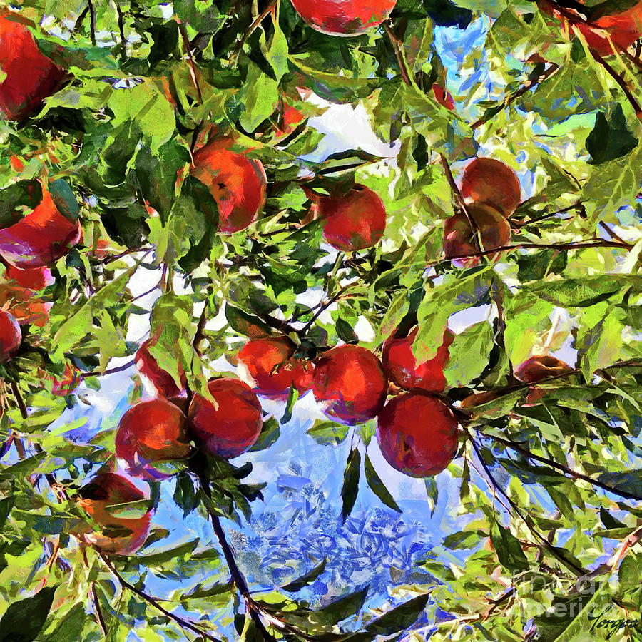 Apple Tree With Fruits Digital Art by Yorgos Daskalakis